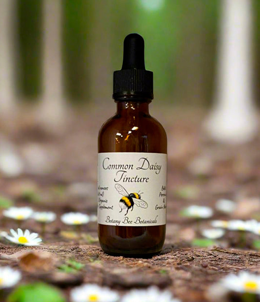 Daisy Tincture