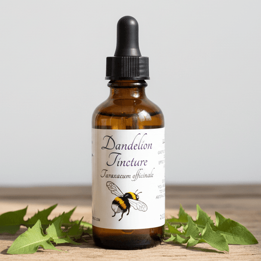 Dandelion Root Tincture, Wild Organic Taraxacum Officinale Herbal Extract