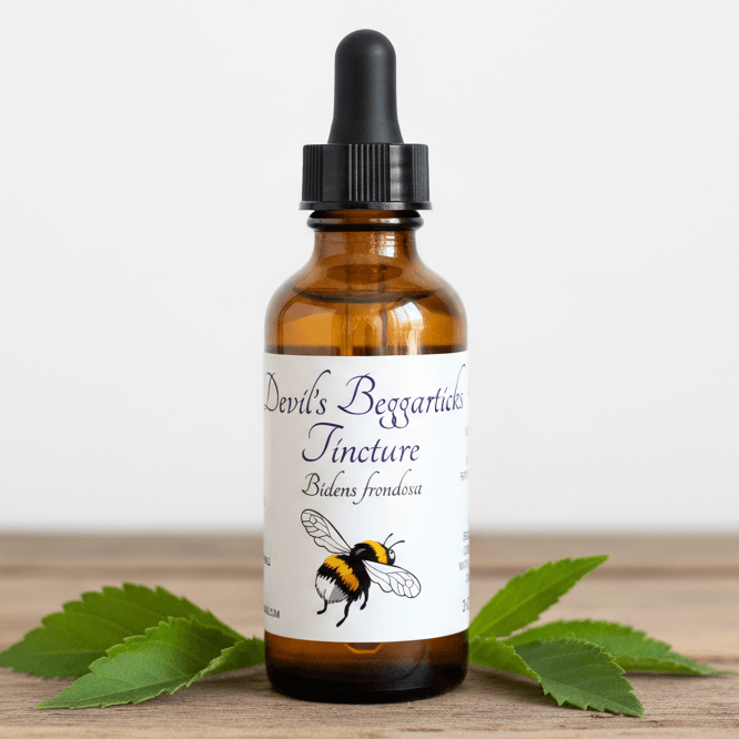 An amber glass dropper bottle with a black cap and a white label reading 'Devil's Bergartlaub Tincture' with a bumblebee illustration, set on a wooden surface with green leaves around it.