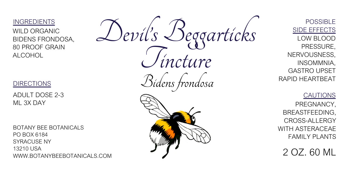 Devil's Beggarticks Tincture - Bidens frondosa Herbal Extract