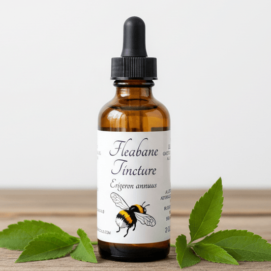An amber glass dropper bottle labeled 'Heabane Tincture' with a black dropper cap, placed on a wooden surface with green leaves on both sides against a light gray background.