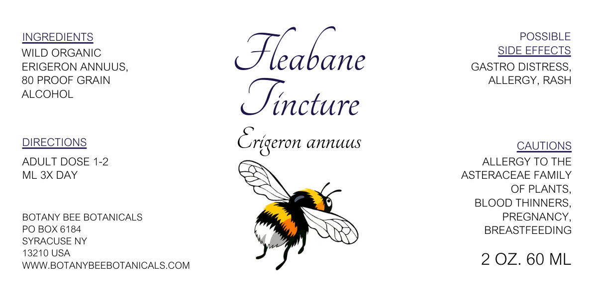 Fleabane Tincture, Wild Organic Erigeron annuus Herbal Extract