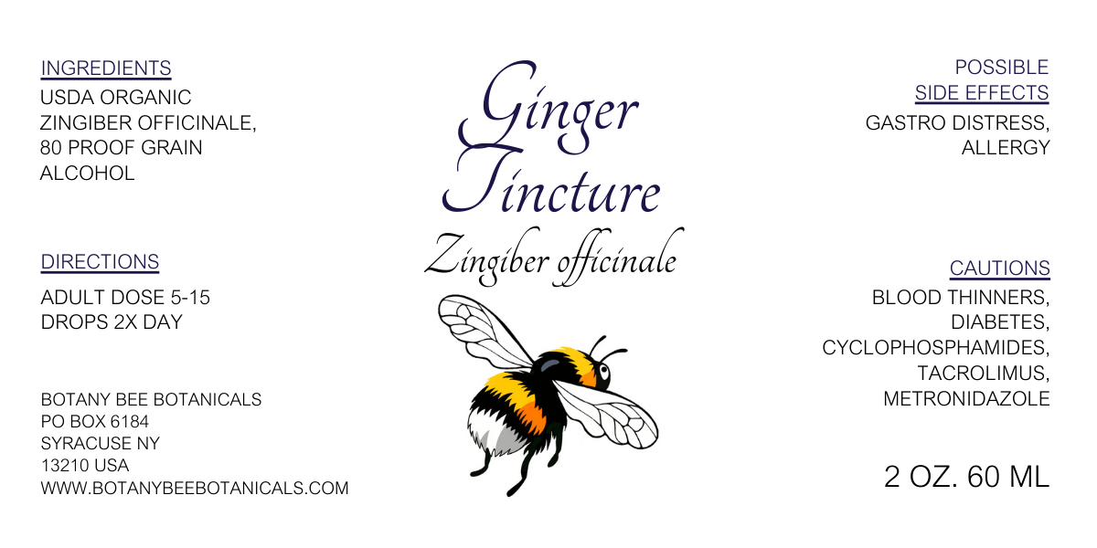 Label for Ginger Tincture with a bee illustration on a white background