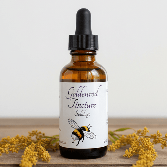 An amber glass dropper bottle labeled 'Goldenrod Tincture Solidago' with a black dropper cap, set on a wooden surface with yellow flowers around it against a light neutral background.