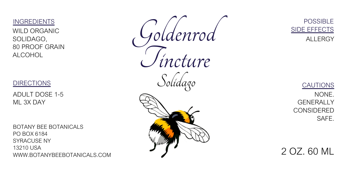 Goldenrod Tincture, Wild Organic Solidago Herbal Extract