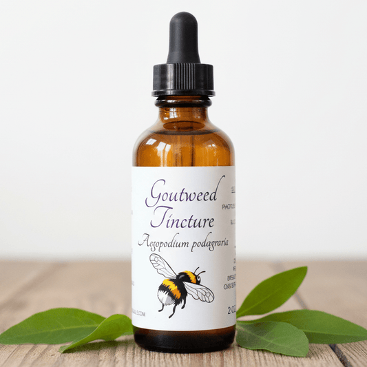 An amber glass dropper bottle labeled 'Goutweed Tincture' with a black cap, placed on a wooden surface with green leaves around it against a light background.