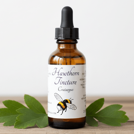 Hawthorn Tincture, Wild Organic Crataegus Haw Extract