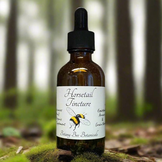 Horsetail Tincture