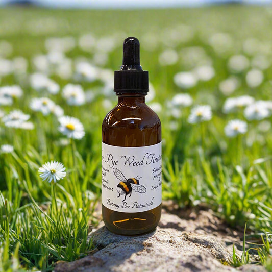 Joe Pye Weed Tincture Bottle