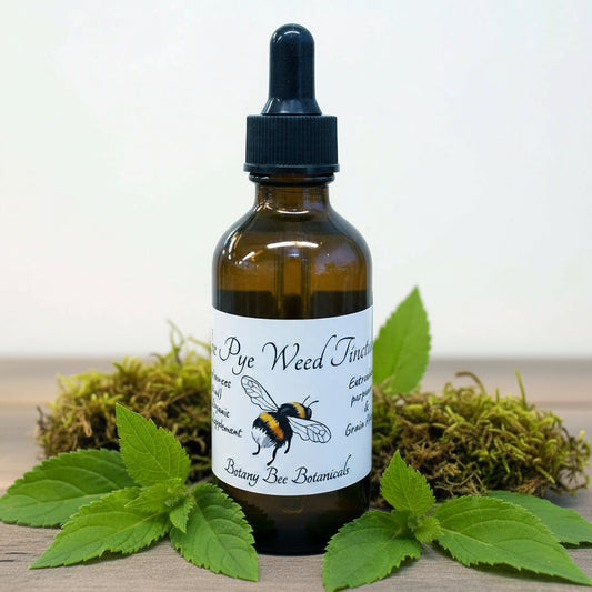 Joe Pye Weed Tincture, Wild Organic Eutrochium purpureum Herbal Extract