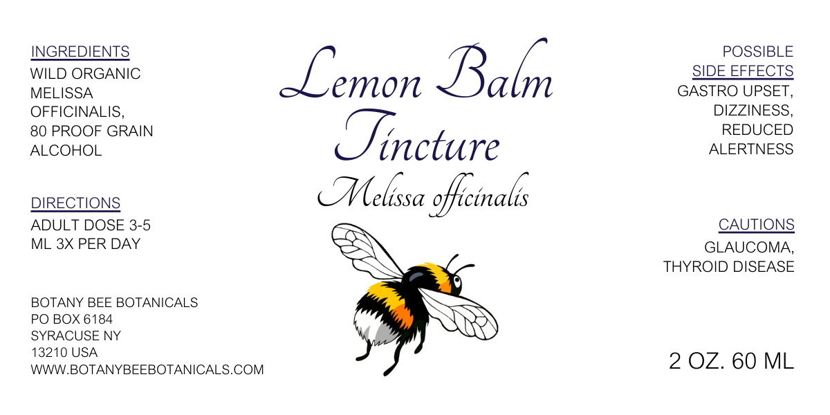 Lemon Balm Tincture, Wild Organic Melissa officinalis Herbal Extract