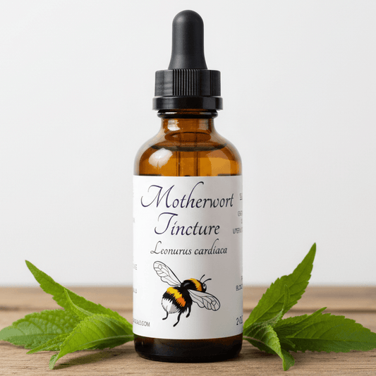 Motherwort Tincture – Wild-Grown Organic Herbal Extract