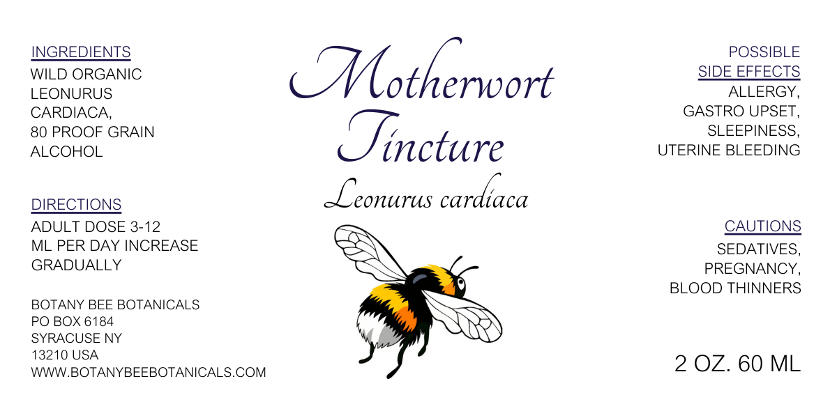 Motherwort Tincture, Wild Organic Leonurus cardiaca Herbal Extract