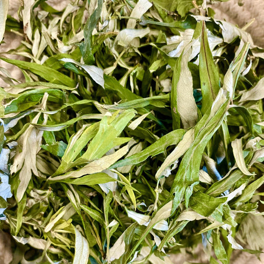 Mugwort, Artemisia vulgaris, Wild Organic, Shredded for Tea