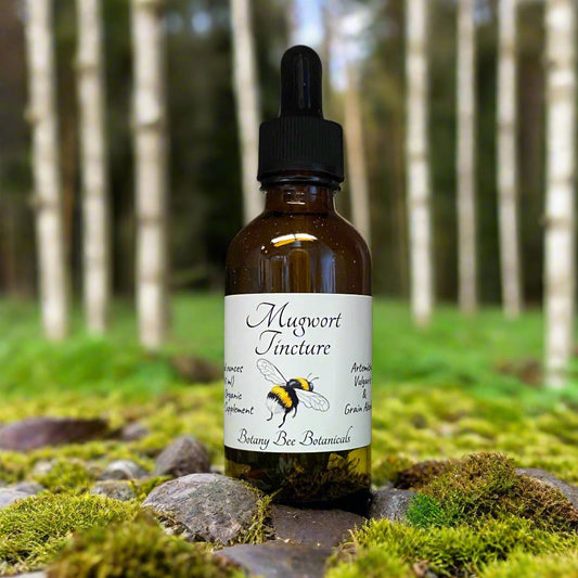 Mugwort Tincture