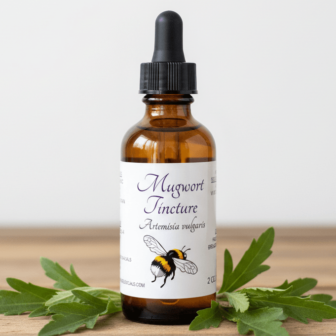 An amber glass dropper bottle labeled 'Mugwort Tincture' with a black cap, placed on a wooden surface with green mugwort leaves around it against a light neutral background.