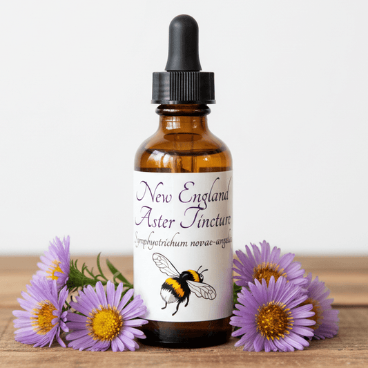 An amber glass dropper bottle labeled 'New England Aster Tincture' with a black dropper cap, styled on a wooden surface with purple flowers around it against a light background.