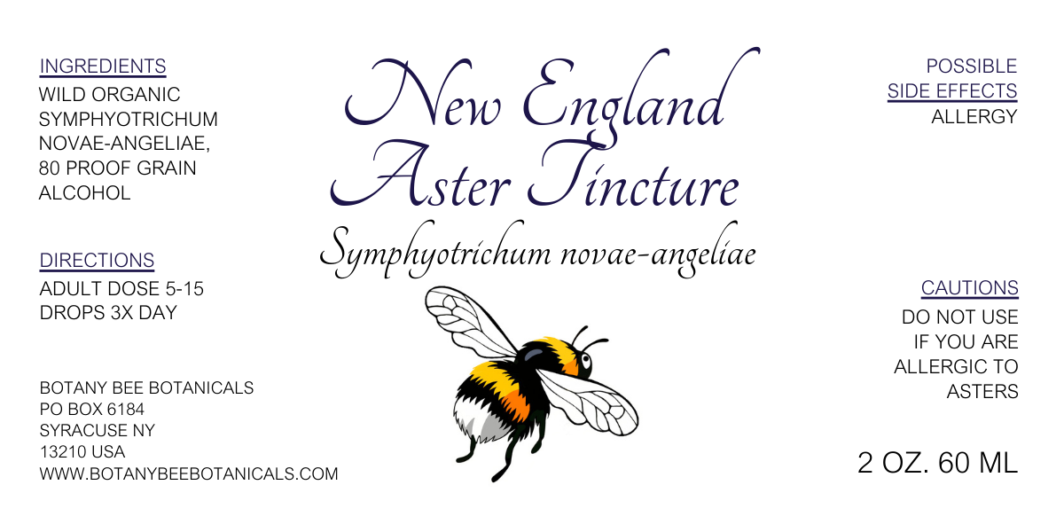 New England Aster Tincture, Wild Organic Symphyotrichum novae-angeliae Herbal Extract