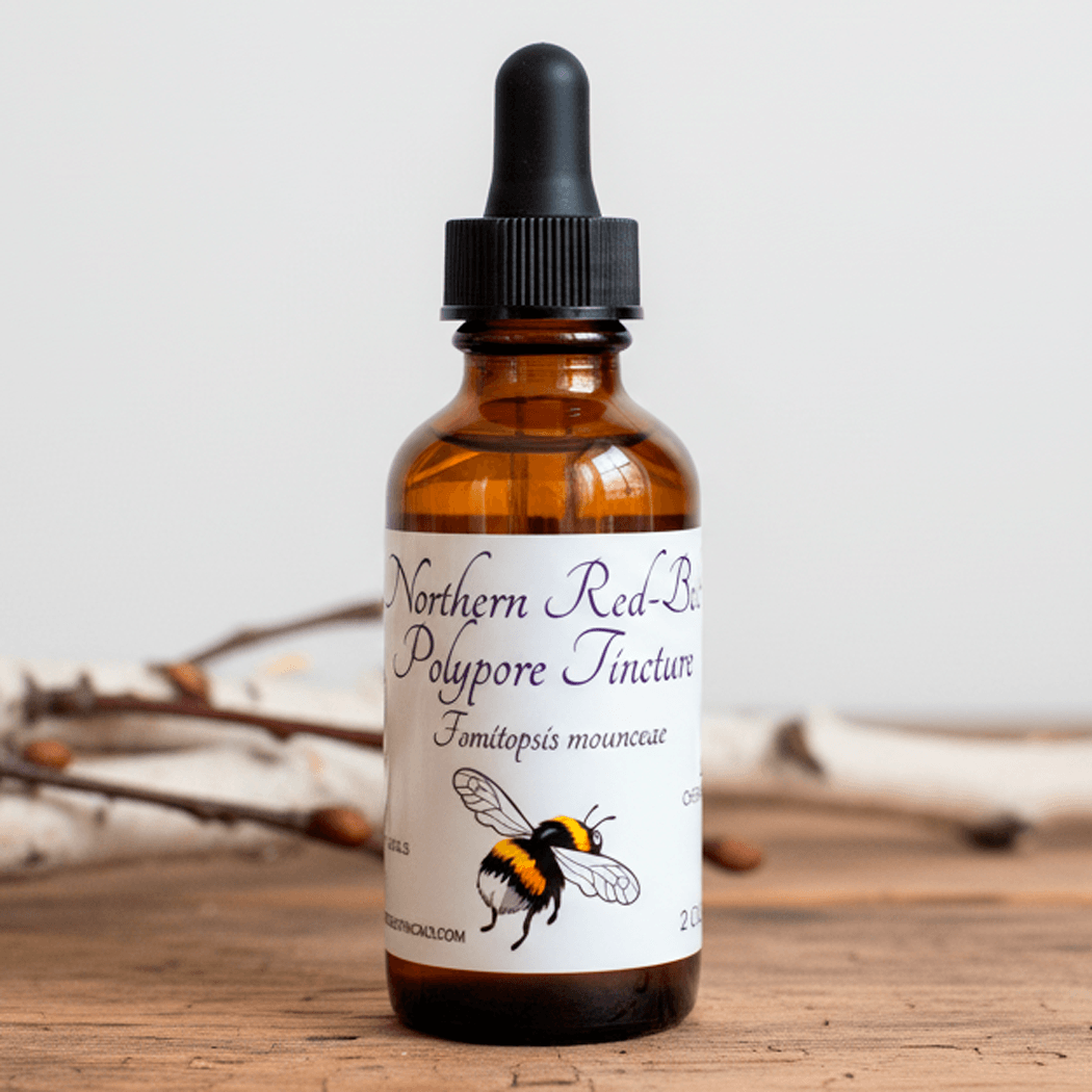 An amber glass dropper bottle with a black cap and a white label reading 'Northern Red-Bug Poly pore Tincture' with a bumblebee illustration, set on a wooden surface against a light neutral background with blurred branches.