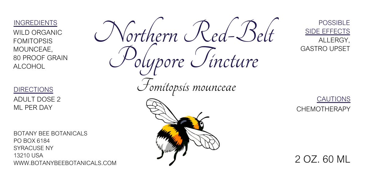 Northern Red-Belt Polypore Mushroom Tincture, Wild Organic Fomitopsis mounceae Mushroom Extract