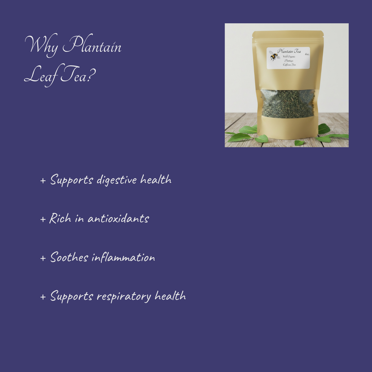 Bag of plantain leaf tea with health benefits listed on a blue background