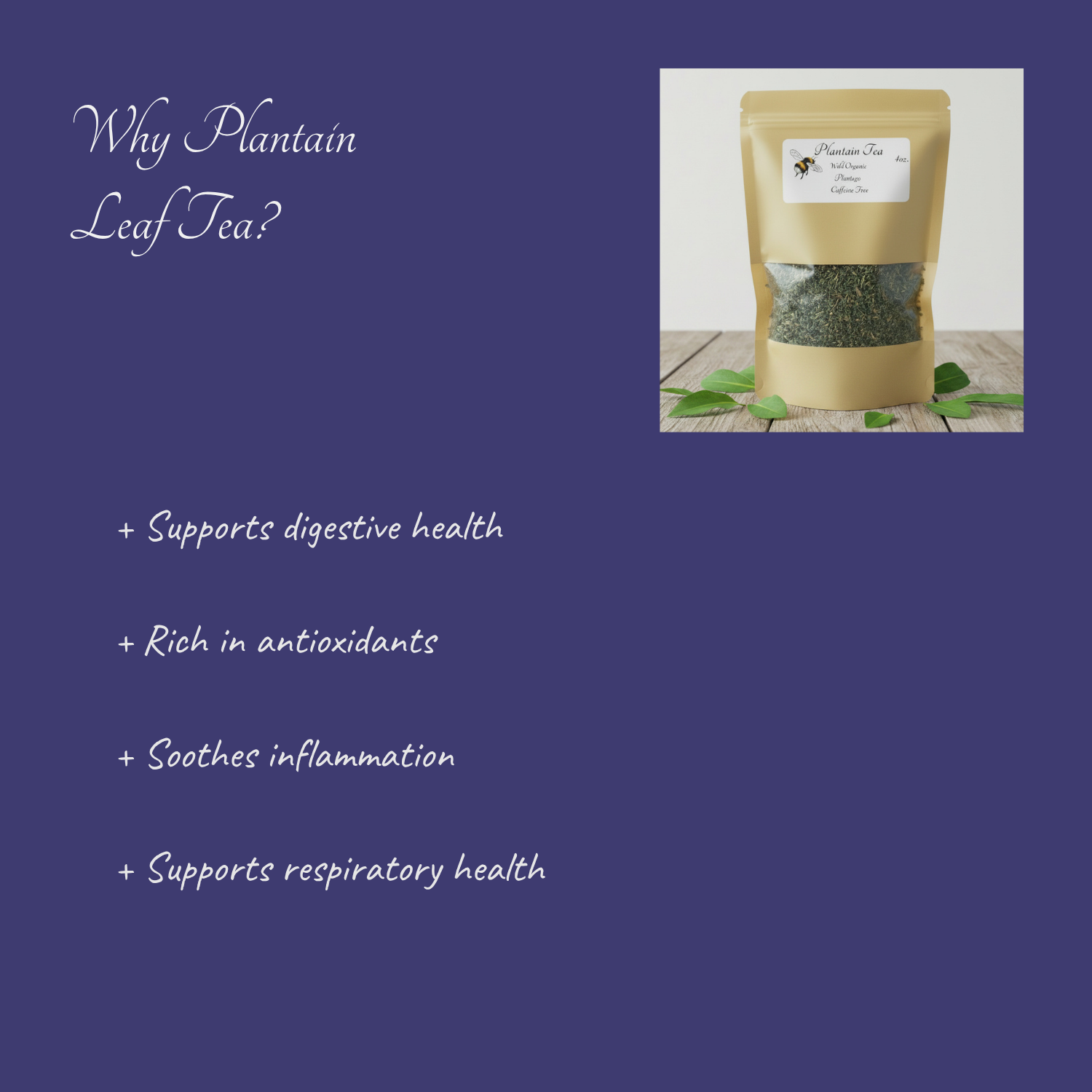 Bag of plantain leaf tea with health benefits listed on a blue background