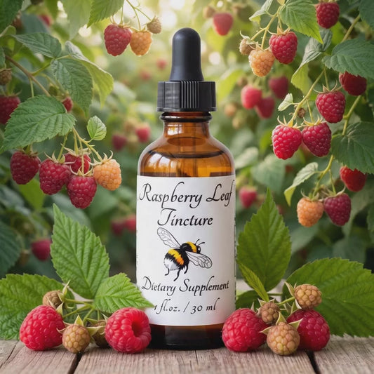 Raspberry leaf tincture with raspberries