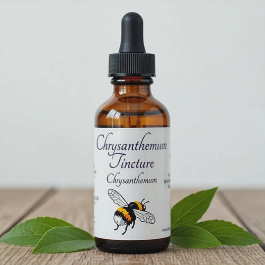 Chrysanthemum Tincture, USDA Organic Chrysanthemum Extract