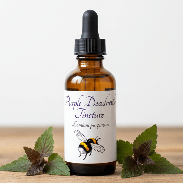 An amber glass dropper bottle labeled 'Purple Deadnettle Tincture' with a black cap, standing on a wooden surface with green leaves around it against a plain light background.