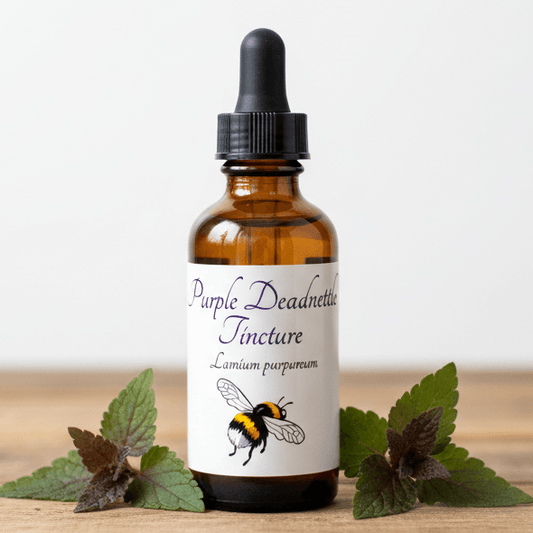 An amber glass dropper bottle labeled 'Purple Deadnettle Tincture' with a black cap, standing on a wooden surface with green leaves around it against a plain light background.