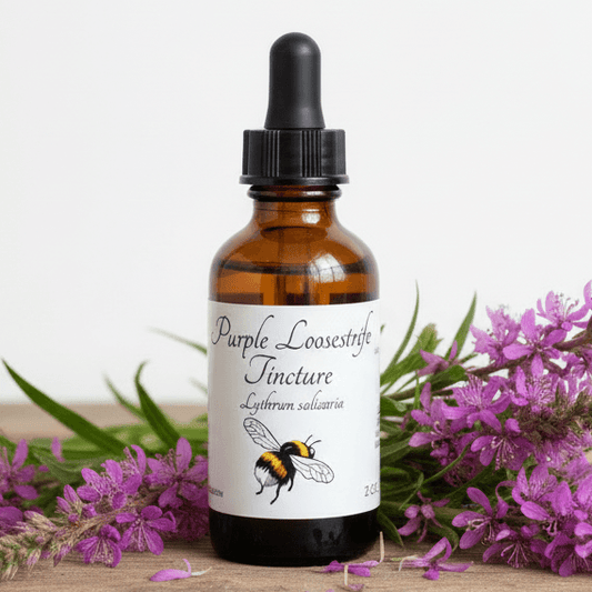 An amber glass dropper bottle labeled 'Purple Loosestrife Tincture' with a black cap, centered on a wooden surface and framed by purple flowers and green leaves against a white background.
