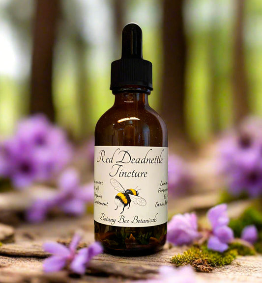 Red Deadnettle Tincture