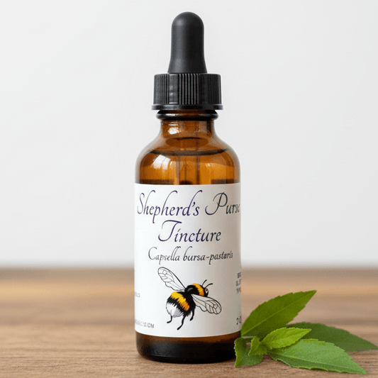 An amber glass dropper bottle labeled 'Shepherd's Purse Tincture' with a black dropper cap, standing on a wooden surface with green leaves beside it against a light neutral background.
