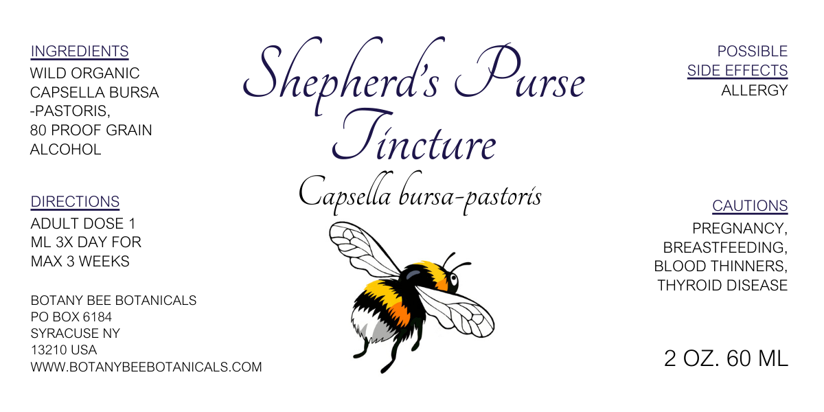 Shepherd's Purse, Wild Organic Capsella bursa-pastoris Herbal Extract