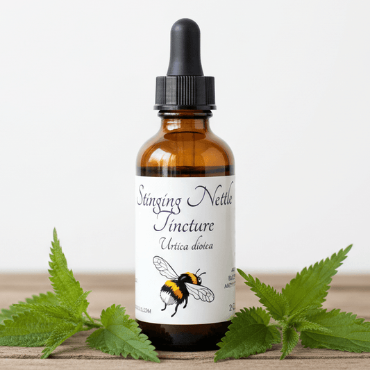 An amber glass dropper bottle labeled 'Stinging Nettle Tincture' with a black cap, styled on a wooden surface with green nettle leaves on both sides against a plain white background.
