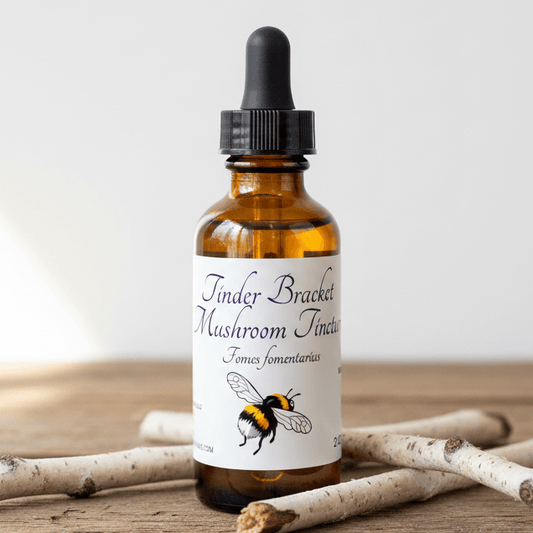 An amber glass dropper bottle with a black cap and a white label reading 'Tinder Bracket Mushroom Tincture' with a bumblebee illustration, placed on a wooden surface with small branches around it.