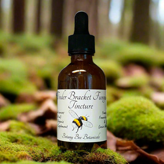 Tinder Bracket Mushroom Tincture