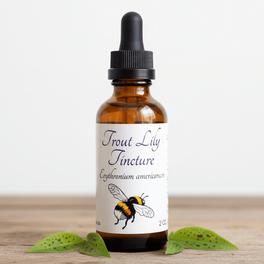 An amber glass dropper bottle labeled 'Trout Lily Tincture' with a black cap, standing on a light wood surface with green leaves at the base against a plain white background.