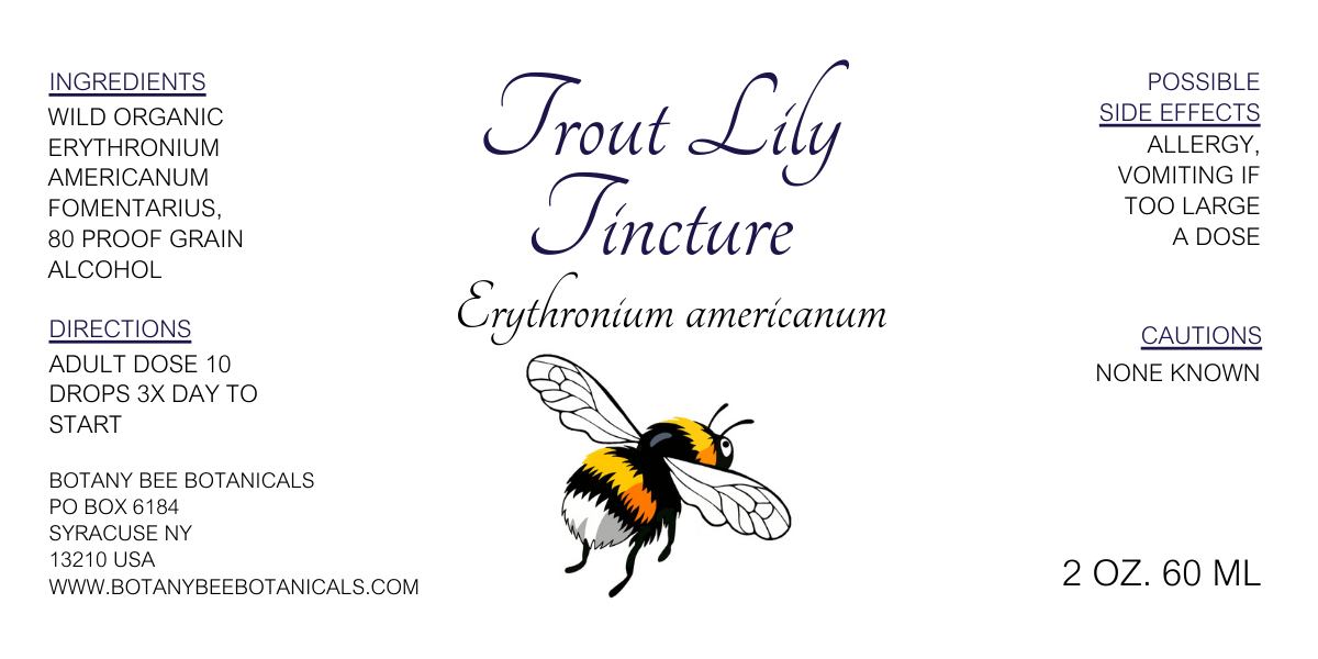 Trout Lily Tincture, Wild Organic Erythronium Americanum Herbal Extract