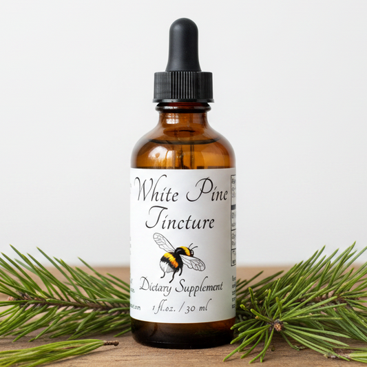 White Pine Needle Tincture