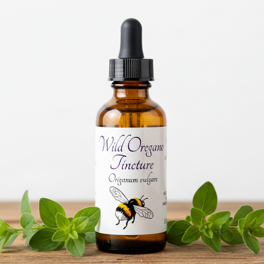Label for Wild Oregano Tincture with a bee illustration and text about ingredients, directions, and precautions.