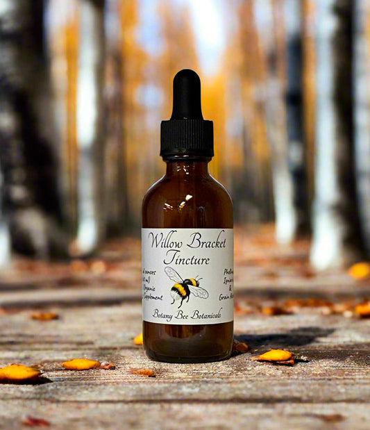 Willow Bracket Mushroom Tincture