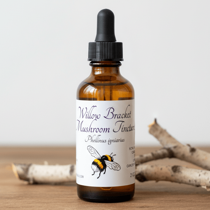 willow bracket tincture bottle