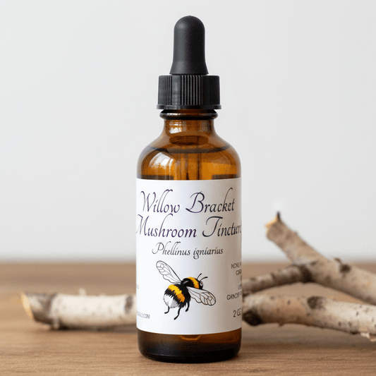 willow bracket tincture bottle