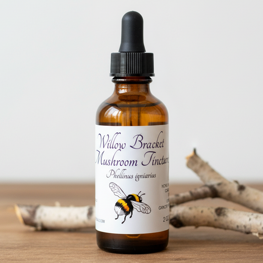 Label for Willow Bracket Mushroom Tincture with a bee illustration and botanical details.