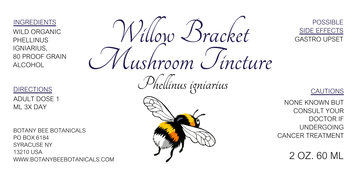Willow Bracket Mushroom Tincture, Wild Organic Phellinus Igniarius Mushroom Extract