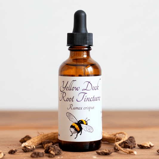 yellow dock tincture bottle
