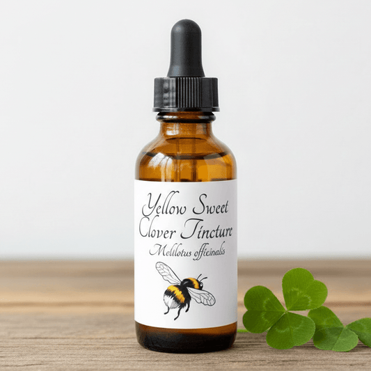 An amber glass dropper bottle labeled 'Yellow Sweet Clover Tincture' with a black dropper cap, standing on a wooden surface next to green clover leaves against a light background.