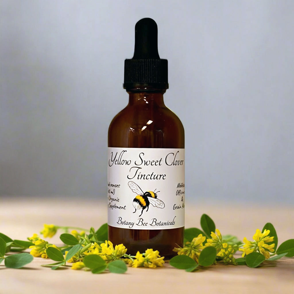 Yellow Sweet Clover Tincture, Wild Organic Melilotus officinalis Herbal Extract