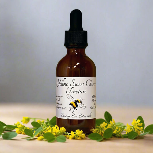 Yellow Sweet Clover Tincture, Wild Organic Melilotus officinalis Herbal Extract